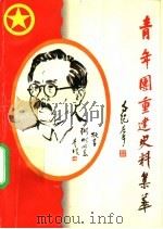 青年团重建史料集萃 1996 PDF电子版封面 7500621256 何启君编著