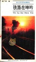 铁路在呻吟 纪实文学 1989 PDF电子版封面 7535402828 胡文清著
