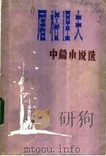屠格涅夫中篇小说选 1984 PDF电子版封面 10094·509 (俄)屠格涅夫著;李家云等译