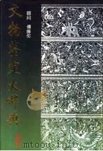 文物鉴定大辞典 4 1993 PDF电子版封面 7800651312 费鸣编