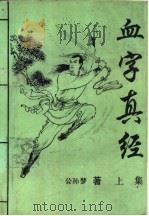 血字真经 1992 PDF电子版封面 7805383944 公孙梦著