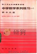 中学数学系列练习  1  初中代数   1984  PDF电子版封面  7038·新140  张世魁主编；杨三阳，张岩编著 