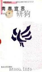 青春宣言 1994 PDF电子版封面 7805056080 王志民著