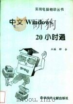 中文Windows20小时通 1996 PDF电子版封面 7502327681 钟合主编