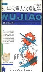 80年代重大灾难纪实 1990 PDF电子版封面 7805113882 卢天贶编著