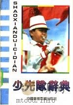 少先队辞典 1992 PDF电子版封面 7504318981 岱凌主编;《少先队辞典》编委会编