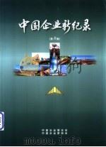 中国企业新纪录  第8辑（ PDF版）
