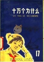 十万个为什么 17 军事 1976 PDF电子版封面 R13171·175 上海人民出版社编辑