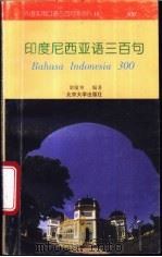 印度尼西亚语三百句 1995 PDF电子版封面 7301026684 梁敏和编著