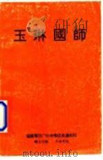 玉琳国师（ PDF版）