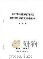 黄河下游引黄灌区地下水开发群管组织及经济技术支持系统分析 PDF电子版封面 周振民