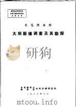 羊毛湾水库大坝裂缝调查及其勘探（ PDF版）