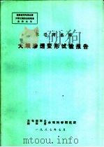 羊毛湾水库大坝渗透变形试验报告（ PDF版）