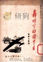 轰炸的下的南中国（ PDF版）