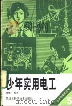 少年实用电工 1985 PDF电子版封面 15217·172 黄懋广编著