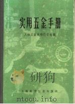 实用五金手册 第3部分 通用配件及器件 13 消防器材 1980 PDF电子版封面 15119·1277 上海五金采购供应站编