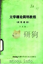 文学理论简明教程  试用教材（ PDF版）