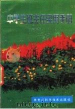 中学生班主任实用手册 1989 PDF电子版封面 7538808566 包瑞全等主编