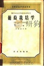 葡萄栽培学 下 附葡萄品种学及选种学原理 1958 PDF电子版封面 16144·29 (苏)湼格鲁里著;陈国康,罗仁,祁颐等译