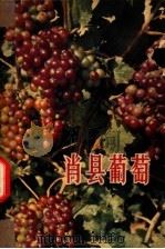 肖县葡萄 1964 PDF电子版封面 16102·282 林守仁著