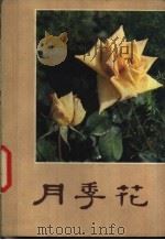 月季花 1980 PDF电子版封面 15040·3814 杨百荔,陈棣,朱秀珍,刘好勒,沈龙珠,陈于华编著
