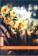 水仙花 1980 PDF电子版封面 16046·1004 陈时璋,刘熙隆编著