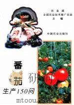 番茄生产150问 1995 PDF电子版封面 7109038416 农业部全国农业技术推广总站主编;曲丰金,王礼编著