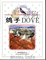 鸽子 1999 PDF电子版封面 7500763824 边继石