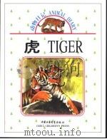 虎 1999 PDF电子版封面 7500748965 梁泊