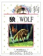 狼 1999 PDF电子版封面 7500748922 杜淡金