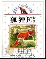 狐狸 1999 PDF电子版封面 7500748973 杜淡金