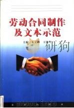 劳动合同制作及文本示范 1999 PDF电子版封面 750362583X 朱文洲,王法兴主编