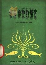 鱼苗鱼种的培育 1963 PDF电子版封面 16144·1327 中国人民共和国水产部编