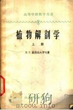 植物解剖学 上 1960 PDF电子版封面 16010·186 (苏)亚历山大诺夫,В.Г.著;王凯基等译