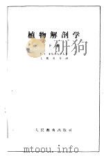 植物解剖学 下 1964 PDF电子版封面 K13031·1114 (苏)亚历山大诺夫,В.Г.著;王凯基等译