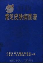 常见皮肤病图谱 1971 PDF电子版封面 内蒙古医学院附属医院,上海第一医学院华山医院合编