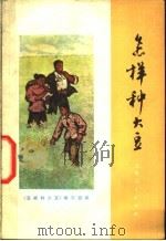 怎样种大豆 1976 PDF电子版封面 16171·195 《怎样种大豆》编写组编