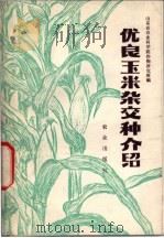 优良玉米杂交种介绍 1978 PDF电子版封面 16144·1808 山东省农业科学院作物研究所编