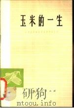 玉米的一生 1977 PDF电子版封面 16171·231 江苏农学院农学系,作物栽培组编著
