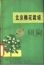 北京棉花栽培 1977 PDF电子版封面 16071·25 北京市农科院作物所编