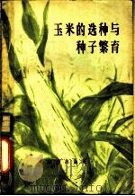玉米的选种与种子繁育 1956 PDF电子版封面 16144·127 (苏)阿·萨拉莫夫著;北京农业大学俄文翻译室农学组译