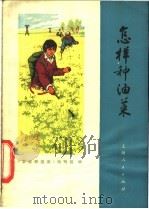 怎样种油菜 1973 PDF电子版封面 16171·84 《怎样种油菜》编写组编