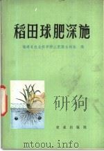 稻田球肥深施 1976 PDF电子版封面 16144·1754 福建省农业科学院土肥微生物组编