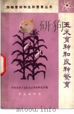玉米育种和良种繁育 1978 PDF电子版封面 16144·1807 河南省新乡地区农业科学研究所编