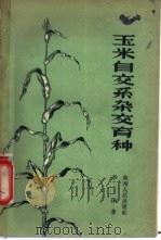 玉米自交系杂交育种 1957 PDF电子版封面 T16094·66 季休著