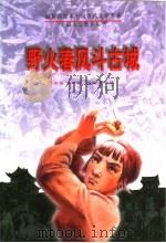 野火春风斗古城 1996 PDF电子版封面 7207032773 李英儒原著;张景超改编