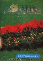 小学生班主任实用手册 1989 PDF电子版封面 7538808558 包瑞全等主编