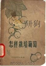 怎样栽培葡萄（1956 PDF版）
