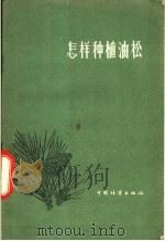 怎样种植油松 1956 PDF电子版封面 T16046·136 潘志刚编著
