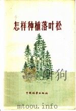 怎样种植落叶松 1958 PDF电子版封面 T16046·151 徐连魁编写